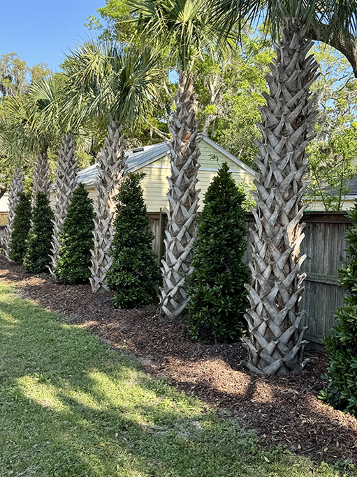 landscaping atlantic beach FL